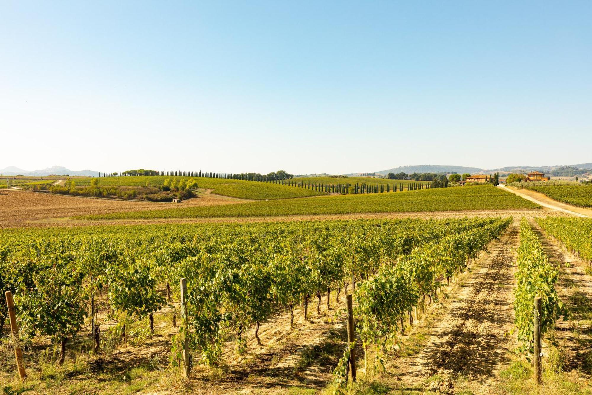 Montepulciano Stazione Prugnolo 빌라 외부 사진