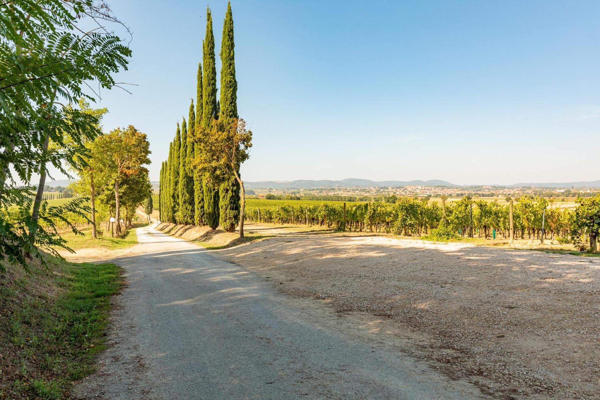 Montepulciano Stazione Prugnolo 빌라 외부 사진